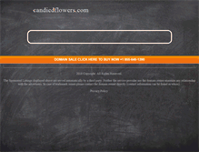Tablet Screenshot of candiedflowers.com